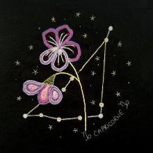 Constellation du capricorne et sa violette - un chat dans l'aiguille