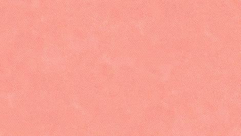 Dimples Soft peach 1867-O17 par 10 cm
