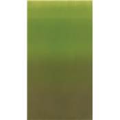 Tissu ombre Avocado de V&CO 10800-52 - par 10cm
