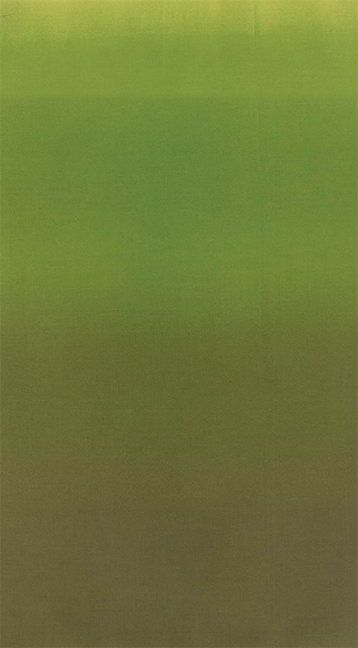 Tissu ombre Avocado de V&CO 10800-52 - par 10cm