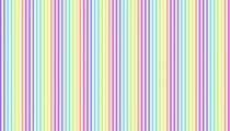 Rainbow stripe blanc  - par 10cm