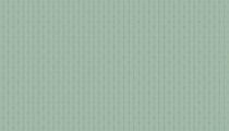 X stripe teal par 10 cm