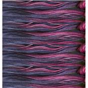 Coton Atalie - Aster