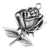 Charm's Rose
