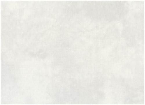 Tissu Quilters shadow - 4516-905 Gris clair par 10cm