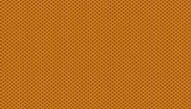 Pineaple orange par 10 cm