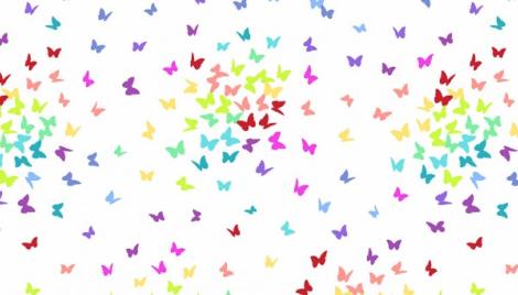 Rainbow fond blanc avec papillons par 10 cm