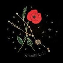 Constellation du taureau et on coquelicot - un chat dans l'aiguille