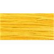 Squash - 2224