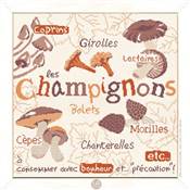 Les Champignons - G022 Lilipoints