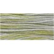Thyme - 1256