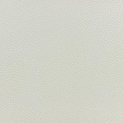 Simili cuir blanc irisé 80cm par 10cm