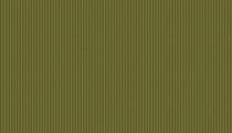 Tissu zig zag stripe green par 10 cm