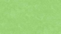 Dimples Baby lettuce 1867G41 par 10 cm