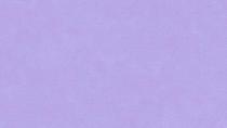 Dimples Baby viola 1867-P22 par 10 cm