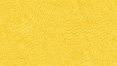 Dimples NUGGET 1867-Y22 par 10 cm