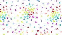 Rainbow fond blanc avec papillons par 10 cm