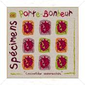 Spécimen de Porte-bonheur - BN003