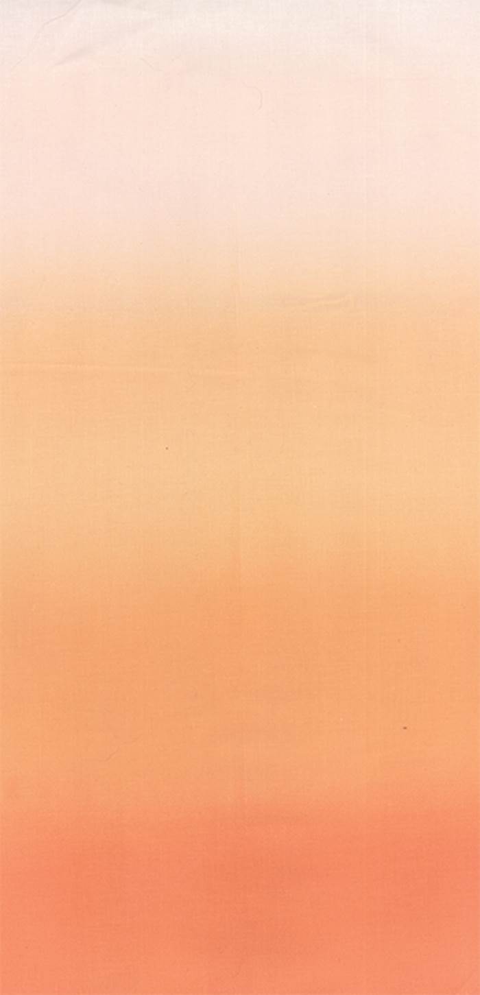 Tissu ombre Corail de V&CO 10800-221 - par 10cm