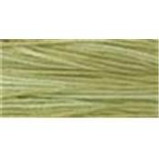 Dried Sage - 1191